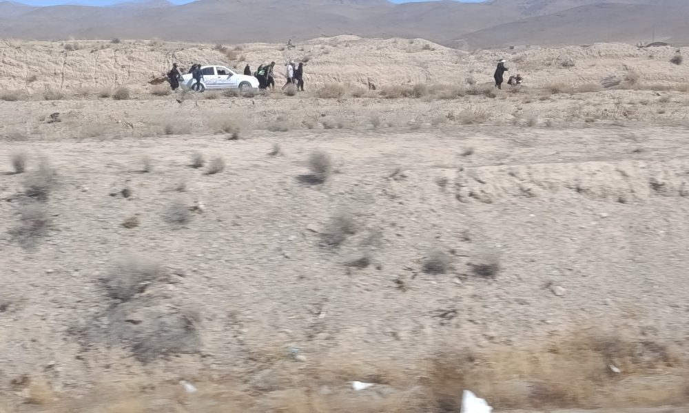 گزارش تصویری پیاده‌روی زائران از نیشابور تا حرم مطهر رضوی