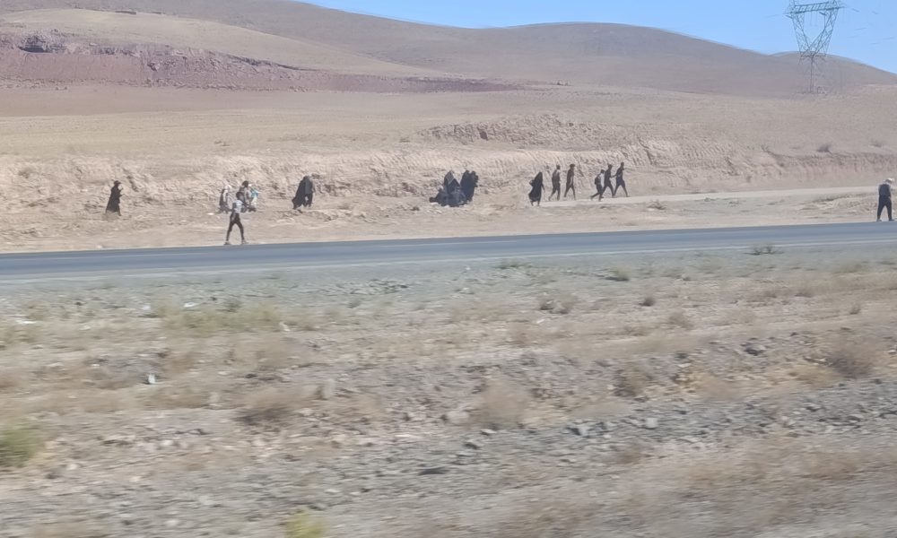 گزارش تصویری پیاده‌روی زائران از نیشابور تا حرم مطهر رضوی