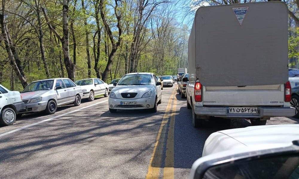 گزارش تصویری از روز ملی طبیعت ۱۴۰۵ در پارک ملی گلستان